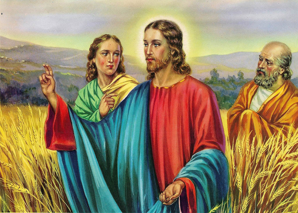 Jesus en el campo de espigas